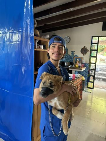 Manuel Cortes Romero is smiling at the camera. He is holding a dog at a vet office
