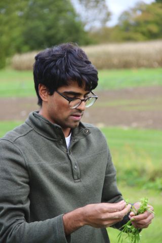 Adam Sharifi is in a field and examining some type of plant